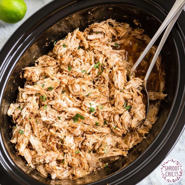 Crockpot Salsa Chicken Recipe